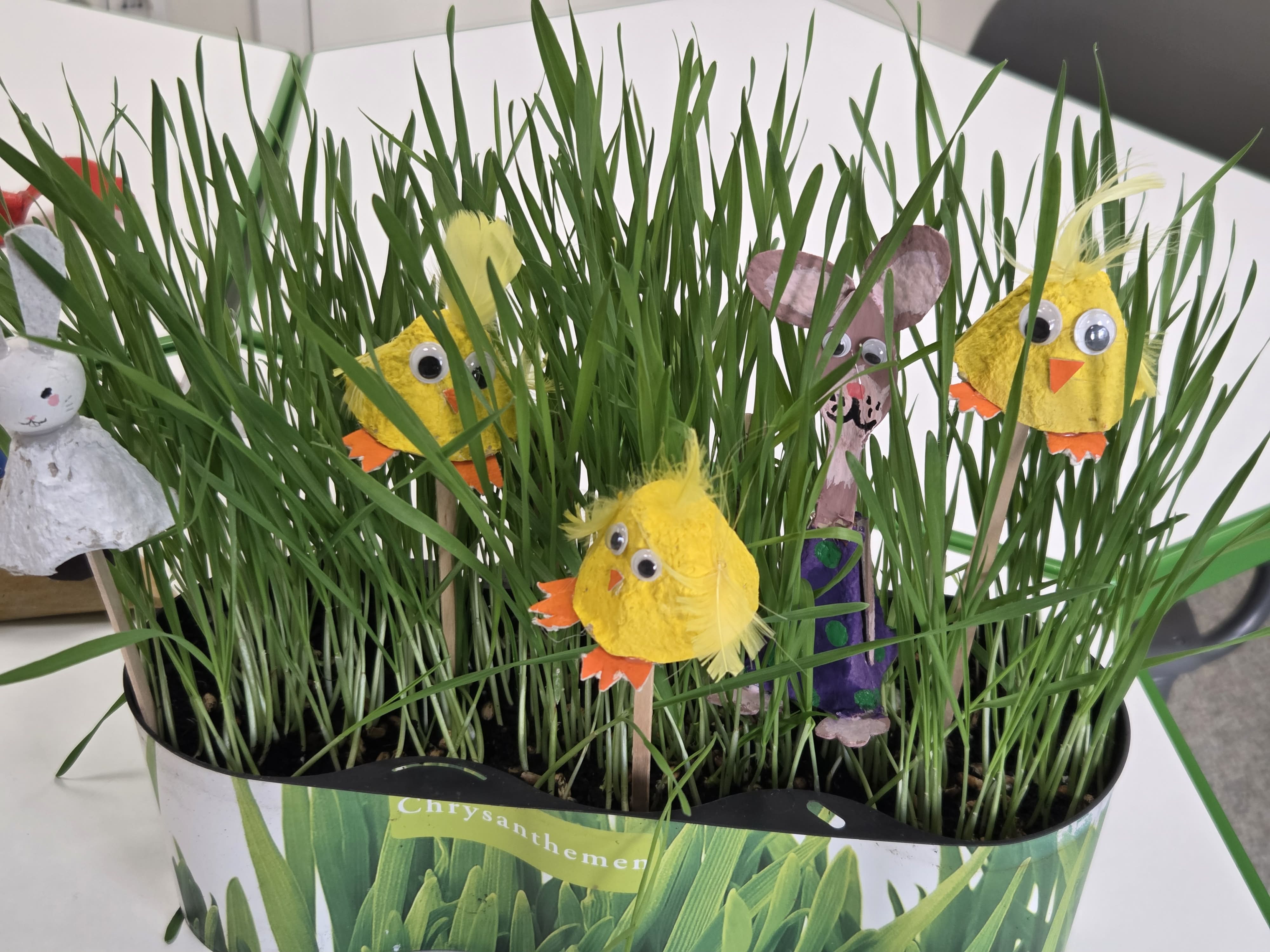 STEAM velykinis tvarumo projektas: kūrybiškumas, mokslas ir atsakomybė gamtai